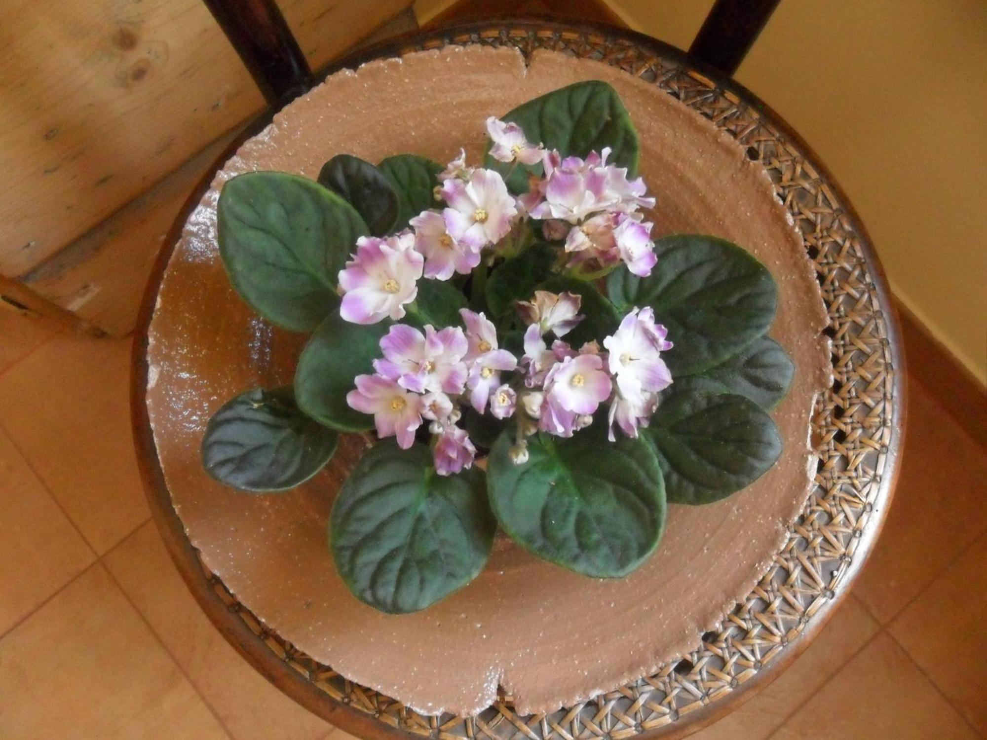 B&B Casa Pascolone Pegognaga Ngoại thất bức ảnh