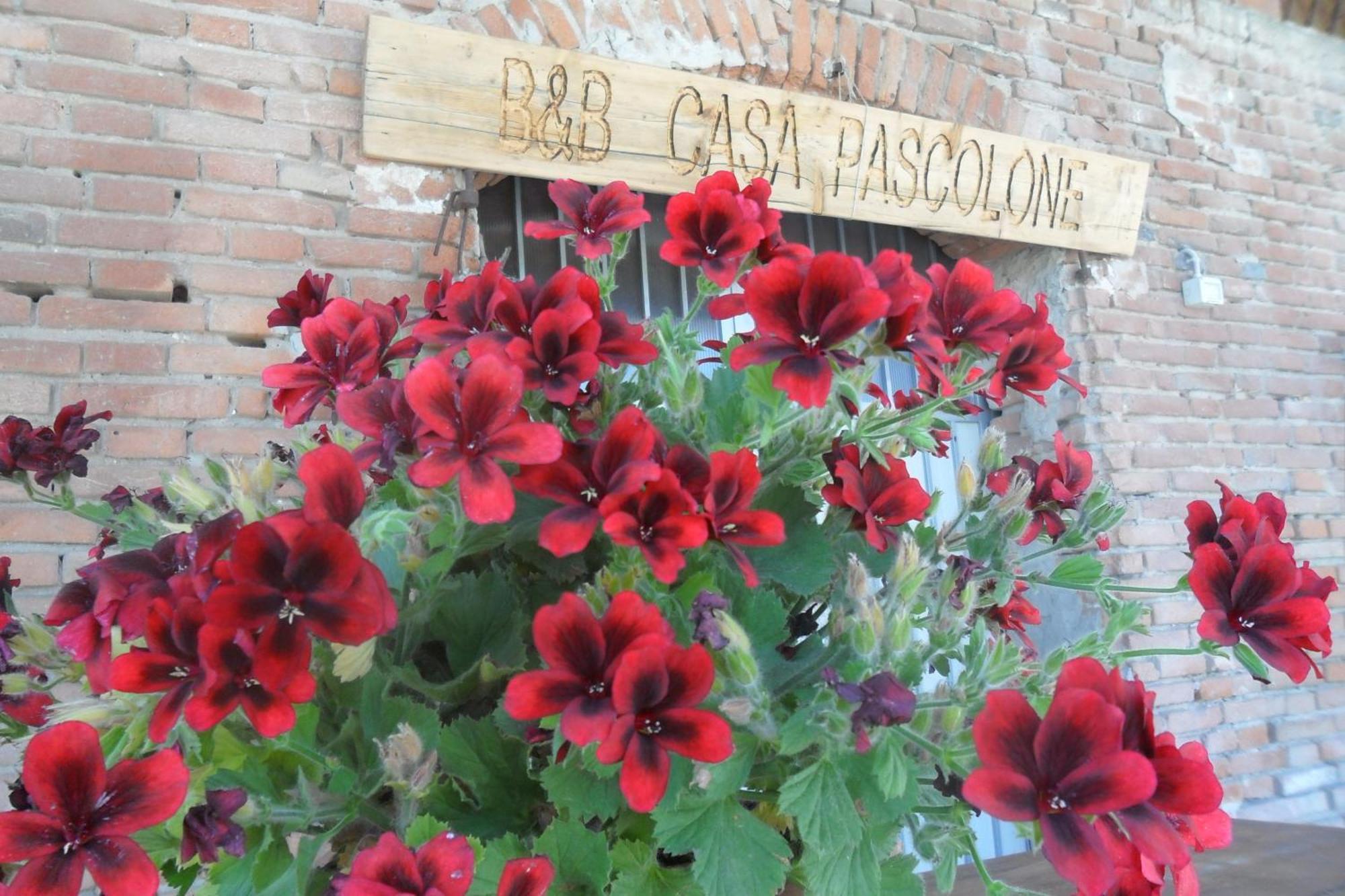 B&B Casa Pascolone Pegognaga Ngoại thất bức ảnh