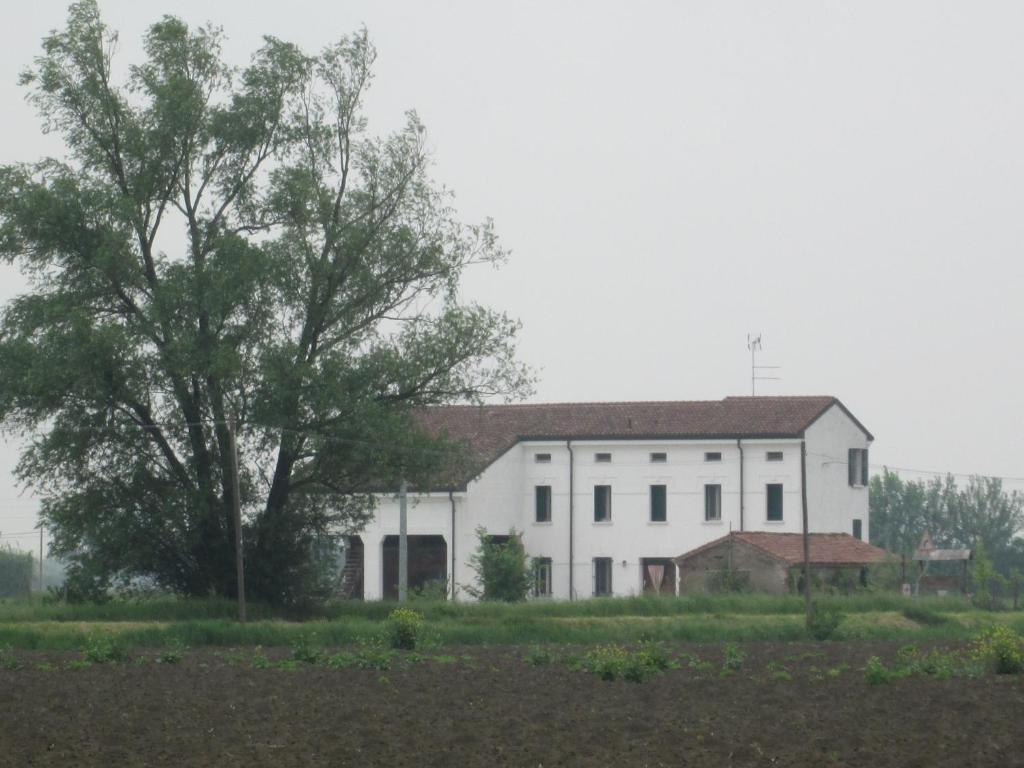 B&B Casa Pascolone Pegognaga Ngoại thất bức ảnh